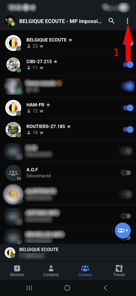 Compléter son profil Zello facilement 1